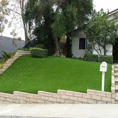 Grass Carpet Jamul, California Lawns, Front Yard Landscaping