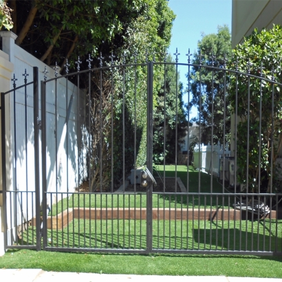 Grass Carpet La Jolla, California Landscaping Business, Small Front Yard Landscaping