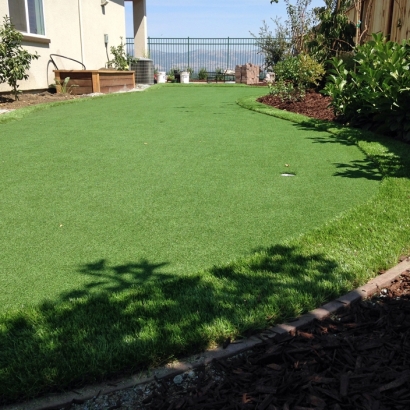 Grass Carpet Lakeside, California Lawn And Landscape, Backyard Ideas