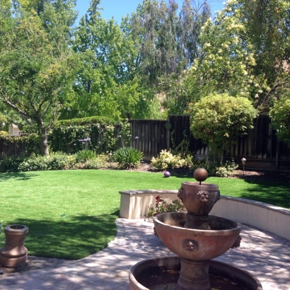 Grass Carpet Poway, California Lawn And Garden, Backyard Landscape Ideas