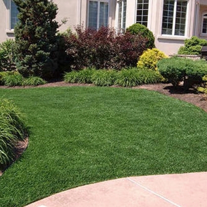 Grass Carpet Westmorland, California Roof Top, Landscaping Ideas For Front Yard