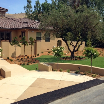 Grass Installation Julian, California Landscape Photos, Front Yard Landscaping Ideas