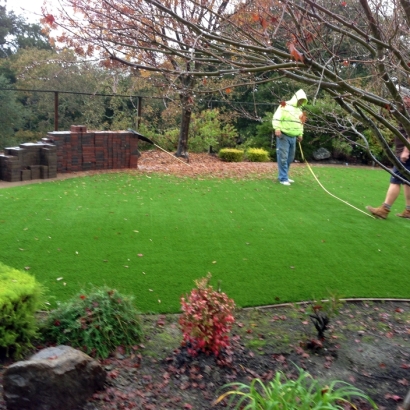 Grass Turf Calipatria, California Landscape Design, Backyard Landscape Ideas