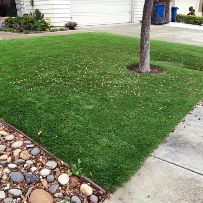 Grass Turf Carlsbad, California City Landscape, Front Yard Design