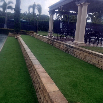 Grass Turf Chula Vista, California Landscape Ideas, Commercial Landscape