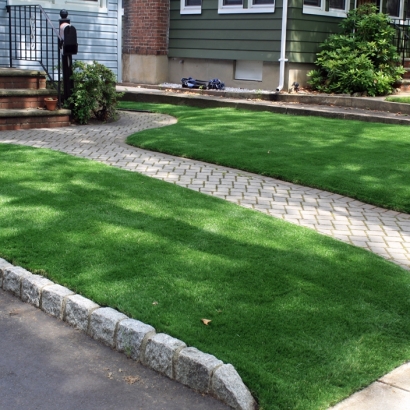 Grass Turf Fallbrook, California Roof Top, Front Yard Ideas