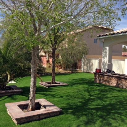 Grass Turf Lemon Grove, California City Landscape, Front Yard Landscaping