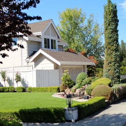 Grass Turf Pine Valley, California Lawn And Garden, Front Yard Design