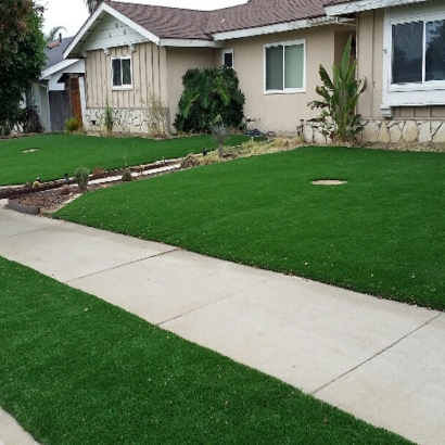 Green Lawn Del Mar, California Lawns, Front Yard Landscaping Ideas