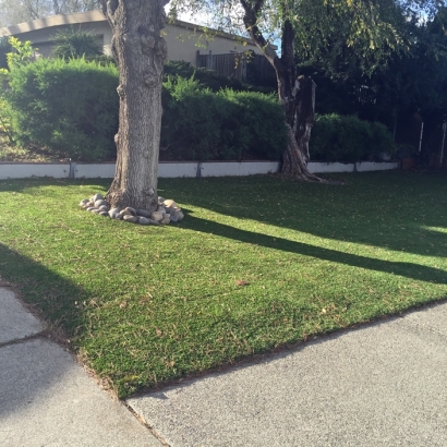 Green Lawn Vista, California Gardeners, Front Yard Landscape Ideas