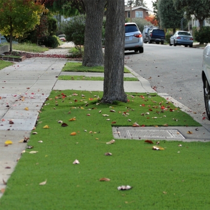 How To Install Artificial Grass La Jolla, California Landscape Design, Front Yard Landscaping