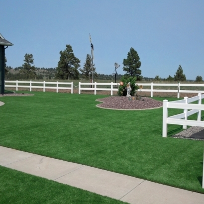 Installing Artificial Grass Salton City, California Lawn And Garden, Backyard Garden Ideas