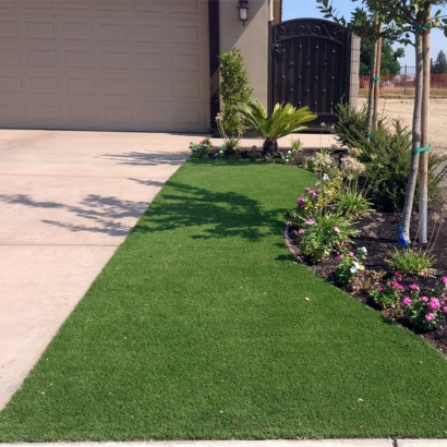 Outdoor Carpet Camp Pendleton South, California Rooftop, Front Yard Landscaping