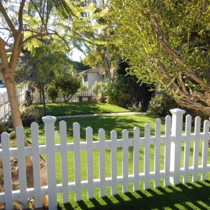 Outdoor Carpet Casa de Oro-Mount Helix, California Design Ideas, Front Yard Landscaping