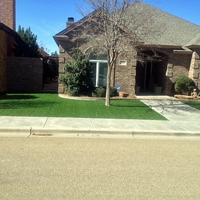 Outdoor Carpet Ramona, California Landscaping Business, Front Yard Landscape Ideas