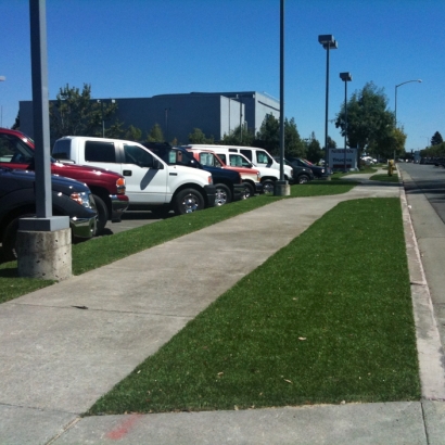 Plastic Grass Brawley, California Landscaping, Commercial Landscape