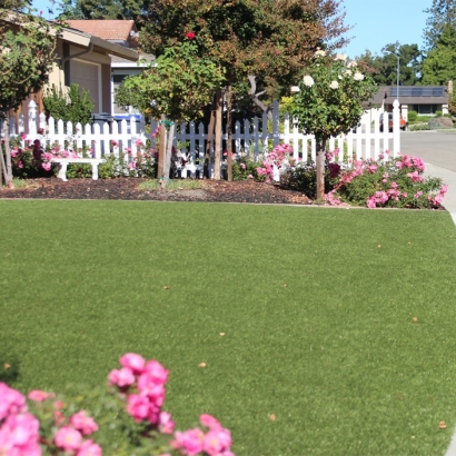 Plastic Grass Chula Vista, California Landscape Design, Landscaping Ideas For Front Yard