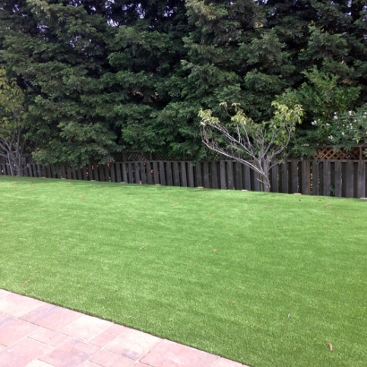 Plastic Grass La Presa, California Backyard Deck Ideas, Backyard Designs