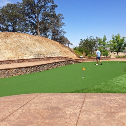 Plastic Grass Lakeside, California Indoor Putting Green, Beautiful Backyards