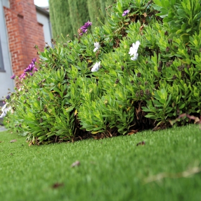 Plastic Grass Lemon Grove, California City Landscape, Front Yard Design