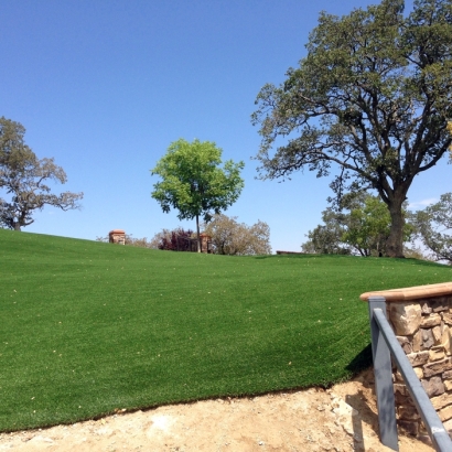 Plastic Grass Pine Valley, California Garden Ideas, Landscaping Ideas For Front Yard