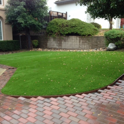 Plastic Grass San Marcos, California Landscape Design, Front Yard Design