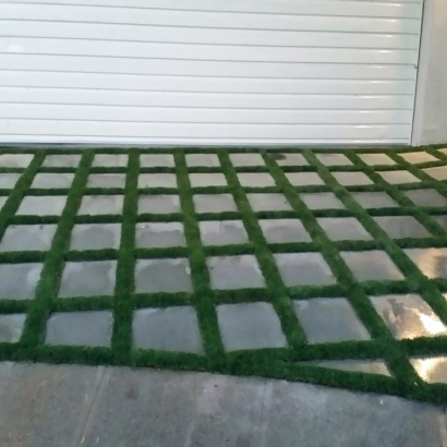 Plastic Grass Solana Beach, California Landscape Design, Front Yard Landscaping Ideas