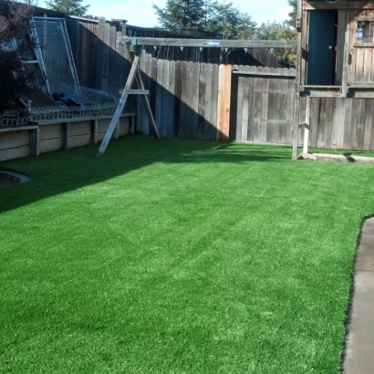 Plastic Grass Winter Gardens, California Lawn And Landscape, Backyard Designs