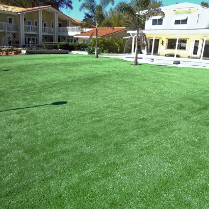 Synthetic Grass Brawley, California Landscape Design, Backyard Pool