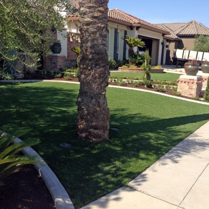 Synthetic Grass Brawley, California Landscaping, Small Front Yard Landscaping