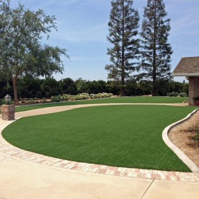 Synthetic Grass Camp Pendleton North, California Landscape Ideas, Small Front Yard Landscaping