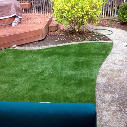 Synthetic Grass Cost Holtville, California Gardeners, Backyard Designs