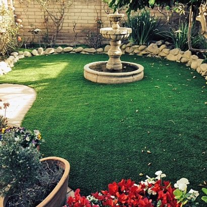 Synthetic Grass San Diego, California Home And Garden