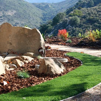 Synthetic Lawn Granite Hills, California Landscape Photos, Landscaping Ideas For Front Yard