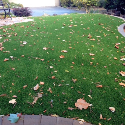 Synthetic Lawn La Jolla, California Lawn And Garden, Landscaping Ideas For Front Yard