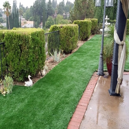 Synthetic Lawn Lakeside, California Landscape Photos, Backyard Landscape Ideas