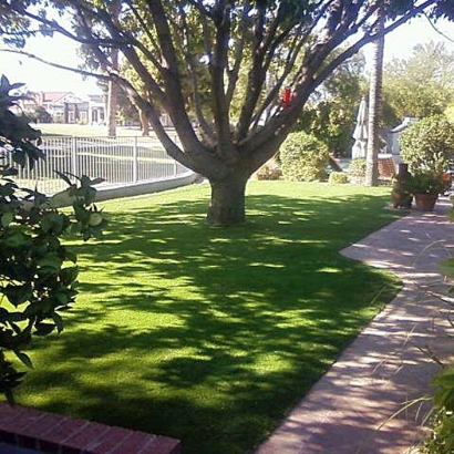 Synthetic Lawn Seeley, California Rooftop