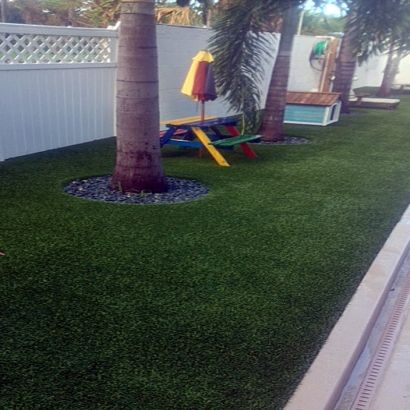 Synthetic Turf Calipatria, California Backyard Playground, Backyard Landscaping