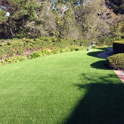 Synthetic Turf Harbison Canyon, California Landscape Ideas, Front Yard Landscaping Ideas