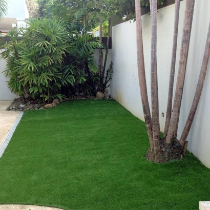 Synthetic Turf Julian, California Landscape Rock, Backyard Garden Ideas