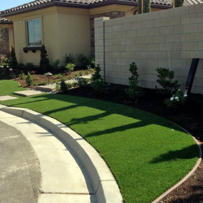 Synthetic Turf Lemon Grove, California Landscape Design, Front Yard Ideas