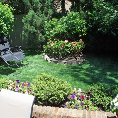 Synthetic Turf San Diego Country Estates, California Roof Top, Backyard Landscaping