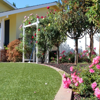 Synthetic Turf San Diego Country Estates, California City Landscape, Front Yard Ideas