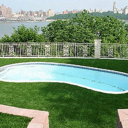 Synthetic Turf Supplier Jamul, California Garden Ideas, Natural Swimming Pools