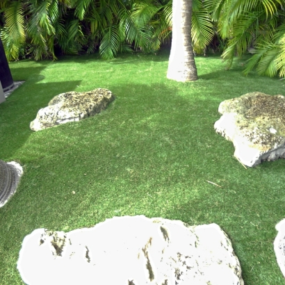 Turf Grass Carlsbad, California Landscaping, Backyard Ideas