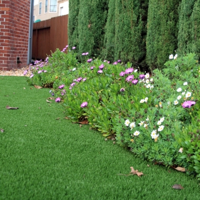 Turf Grass Coronado, California Lawn And Landscape, Front Yard Ideas