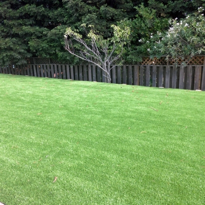 Turf Grass Encinitas, California Garden Ideas, Backyard Landscaping