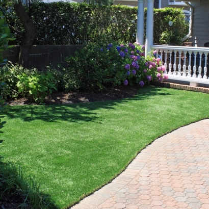 Turf Grass Fallbrook, California Lawn And Garden, Small Front Yard Landscaping