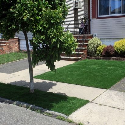 Turf Grass Potrero, California Roof Top, Small Front Yard Landscaping