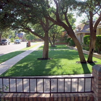 Turf Grass Rancho San Diego, California Landscape Photos, Front Yard